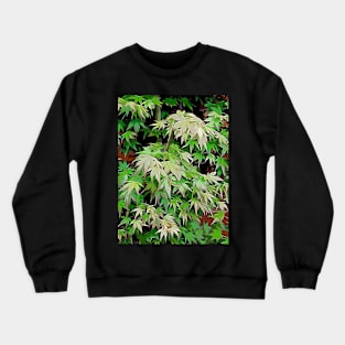 Green leaves with red edge Crewneck Sweatshirt